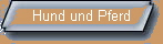 Hund und Pferd