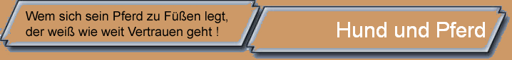 Hund und Pferd