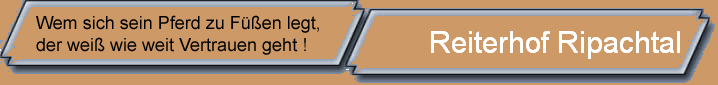 Reiterhof Ripachtal