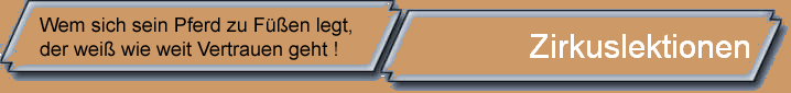 Zirkuslektionen
